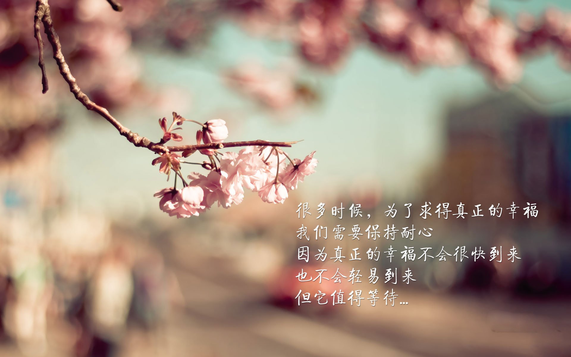 虚拟赛车体验：未来速度的想象，虚拟现实赛车