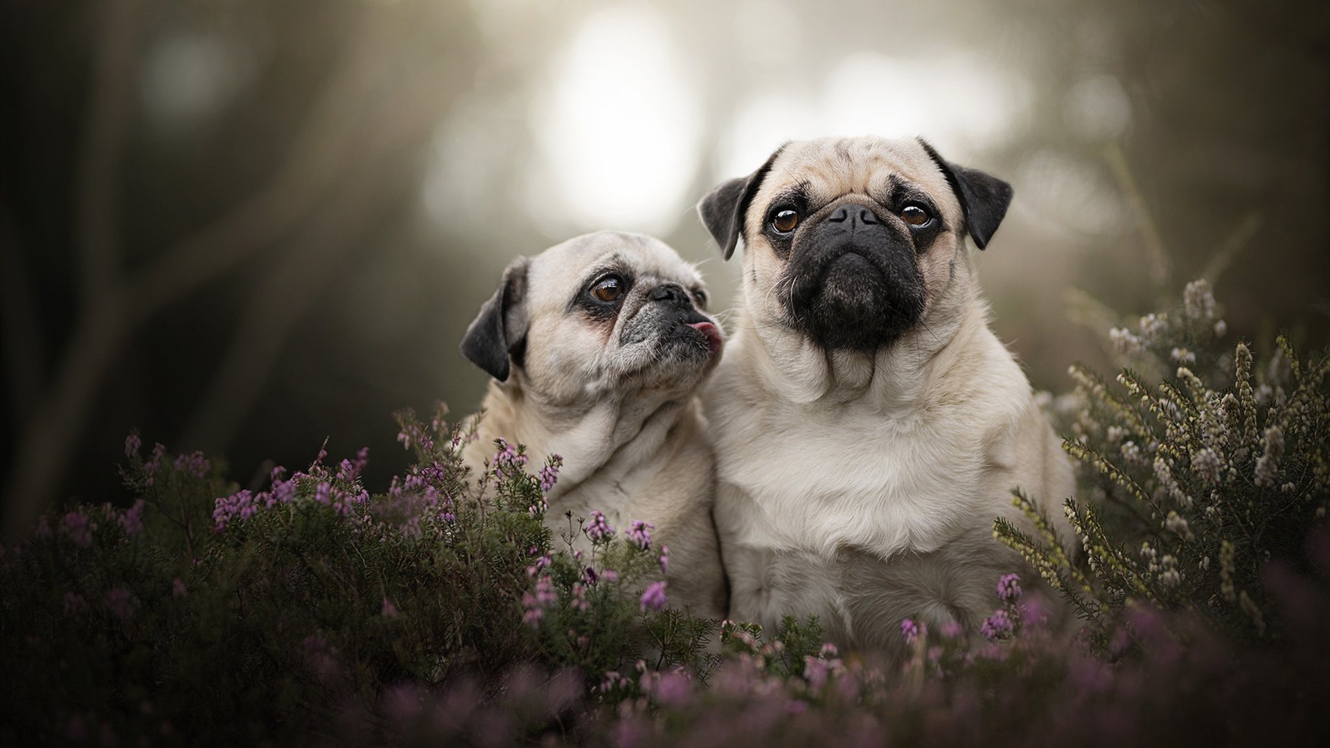 im电竞官网-国足主教练深耕战术细节，备战更具针对性，国足教练团队已完成重组展开工作