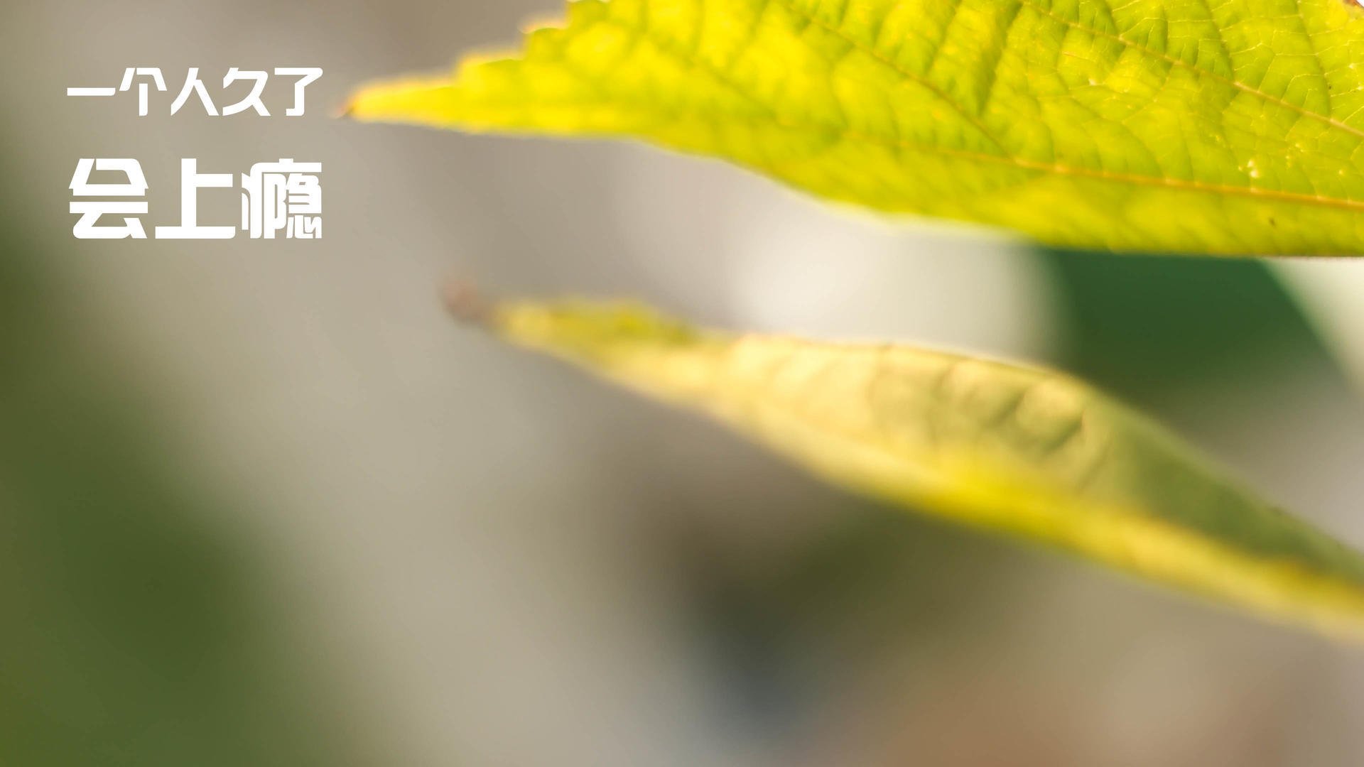 im电竞平台官网-詹姆斯全能数据湖人节节领先，詹姆斯在湖人的成绩