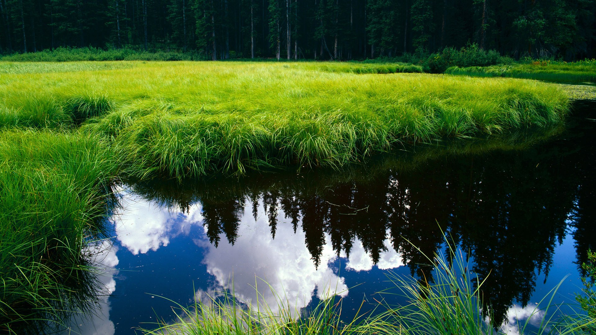 IM体育官方网站-中国女篮保持积极心态迎接强敌挑战，中国女篮无惧任何对手