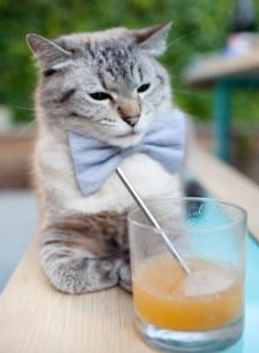 im电竞官网登录-四分打完成率联盟第一是谁，英雄联盟四一分推