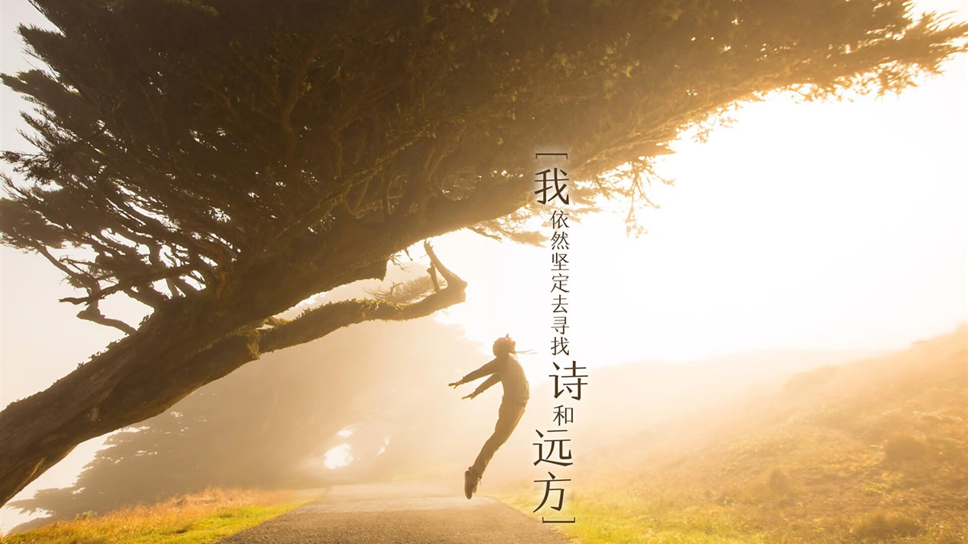 im电竞网页版-女子自由泳100米美队三人进决赛，女子自由泳100米美队三人进决赛视频