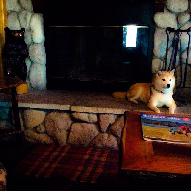 乌拉圭女篮在南美锦标赛中凯旋而归,体育水平不断攀升,乌拉圭 南美