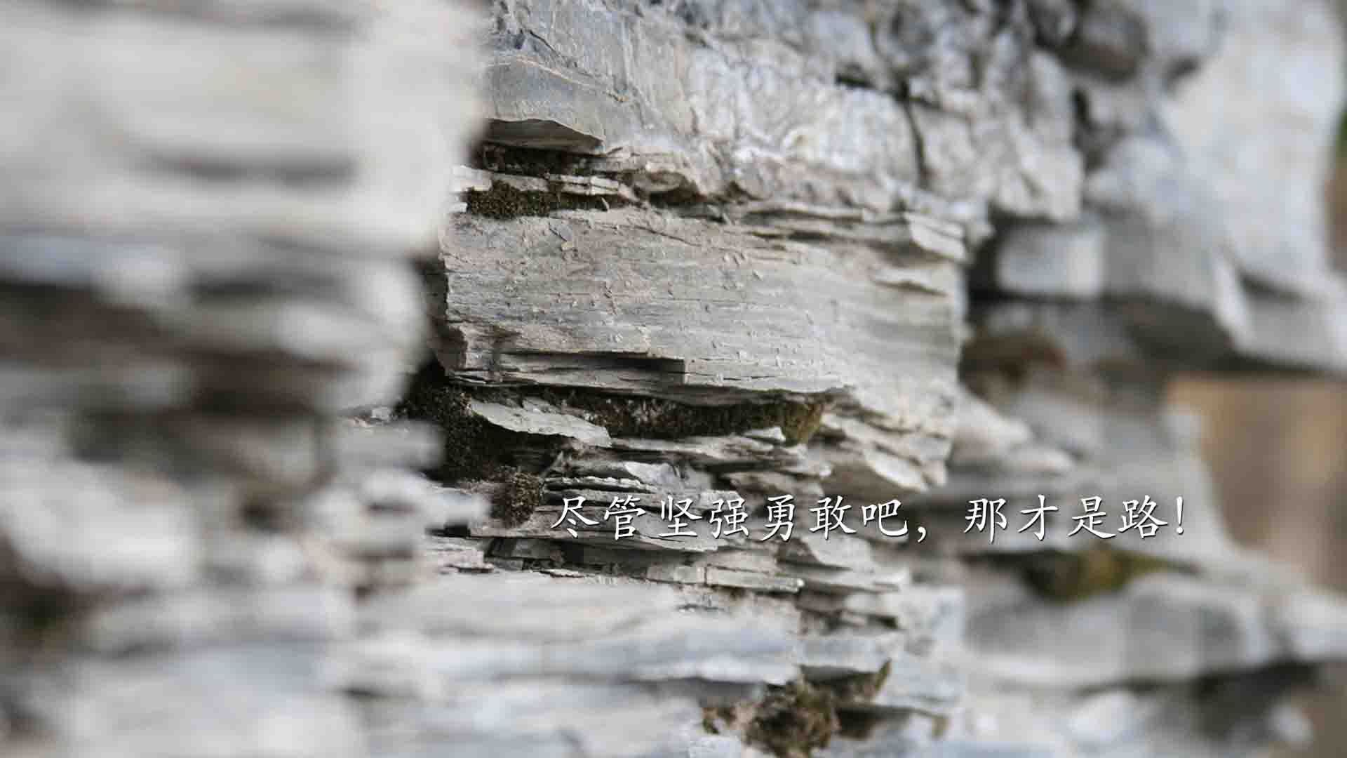 im体育官方登录-切拉苏奥洛强势入水 提速一触即发，切拉瓦洛