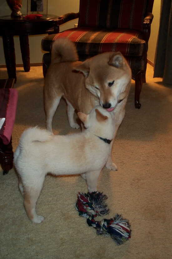 IM体官网-国家队赛后召开全员总结会推动开放式问题反馈，国家队比赛情况