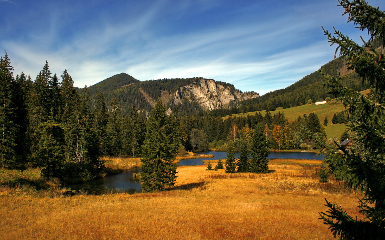 斯洛伐克男篮在欧洲大赛中勇敢逐梦，迈向更高平台，斯洛伐克男篮实力
