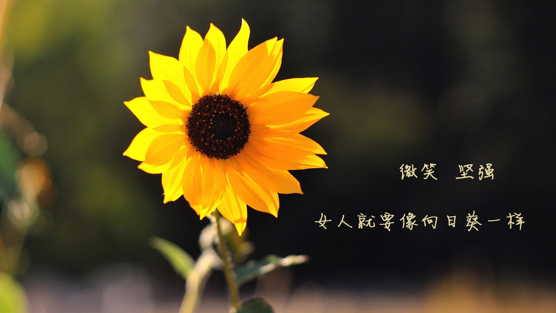 水球比赛中立代表队A防守坚固，水球比赛中球最多在手中停留多少秒