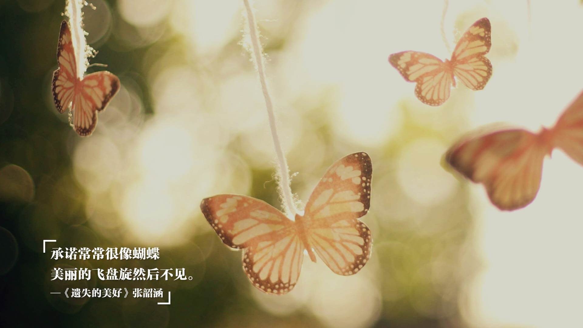 谷爱凌突破个人高度挑战极限动作,谷爱凌faction