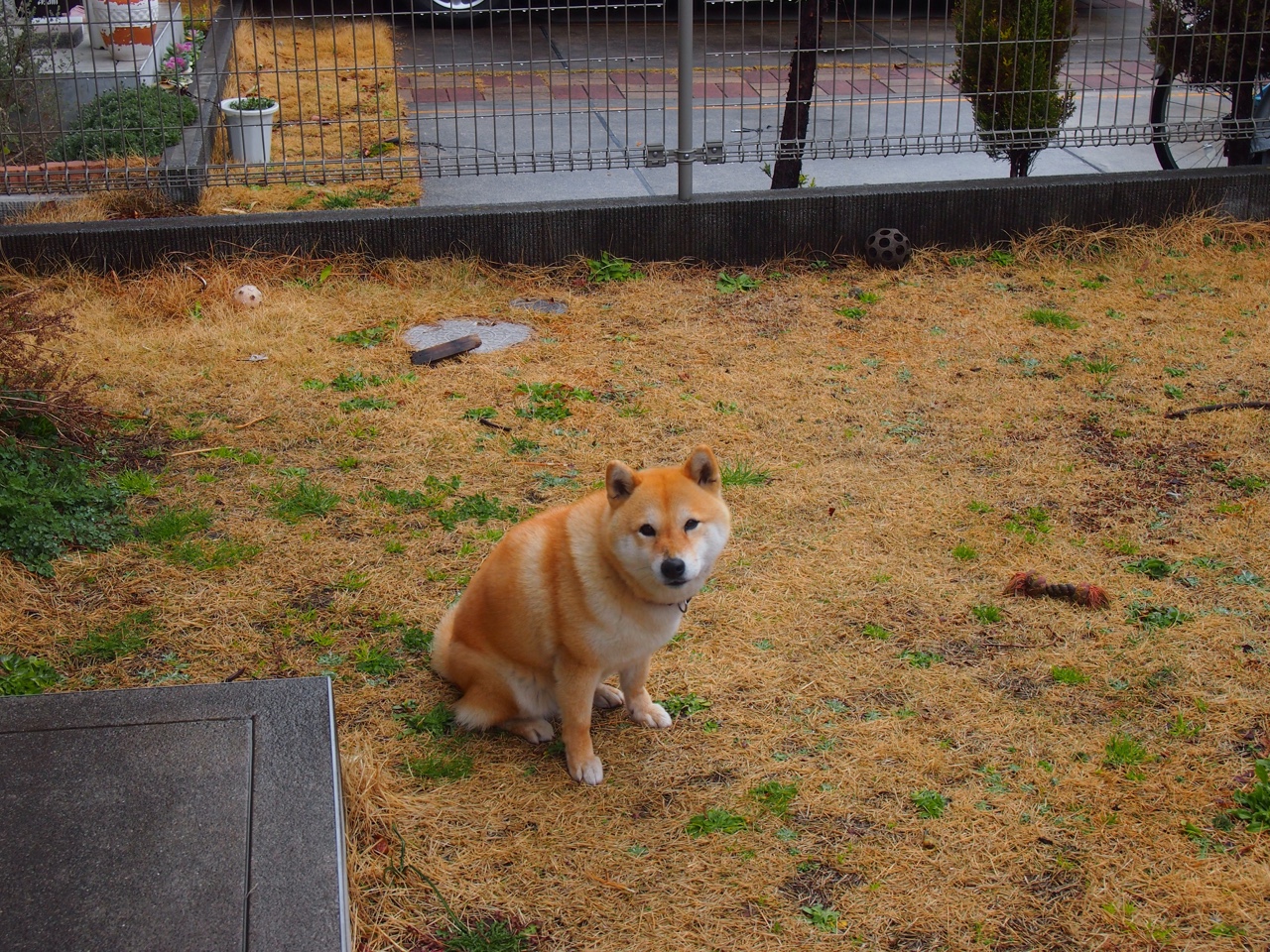 IM体育中国区官网-达米恩·麦肯齐：凭借速度和精准的传球，成为全黑队攻防转换的引擎